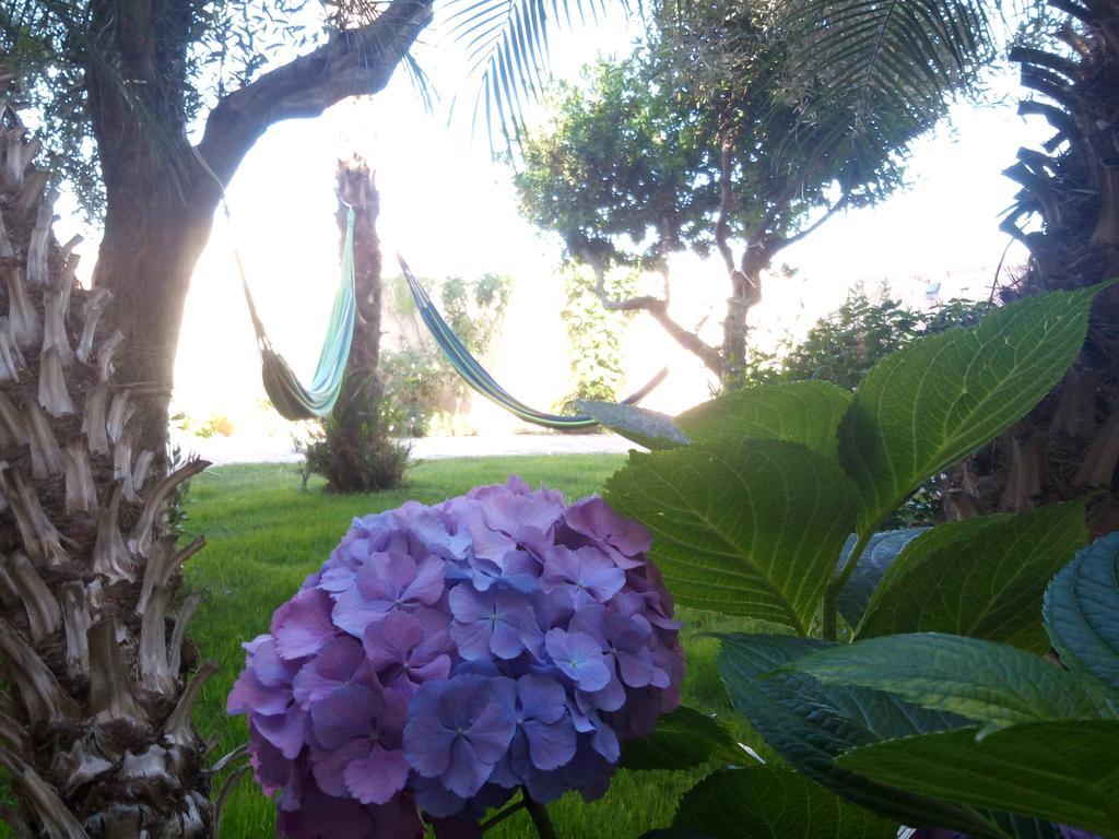 Nora Guesthouse Rooms And Villas Pula Exterior photo